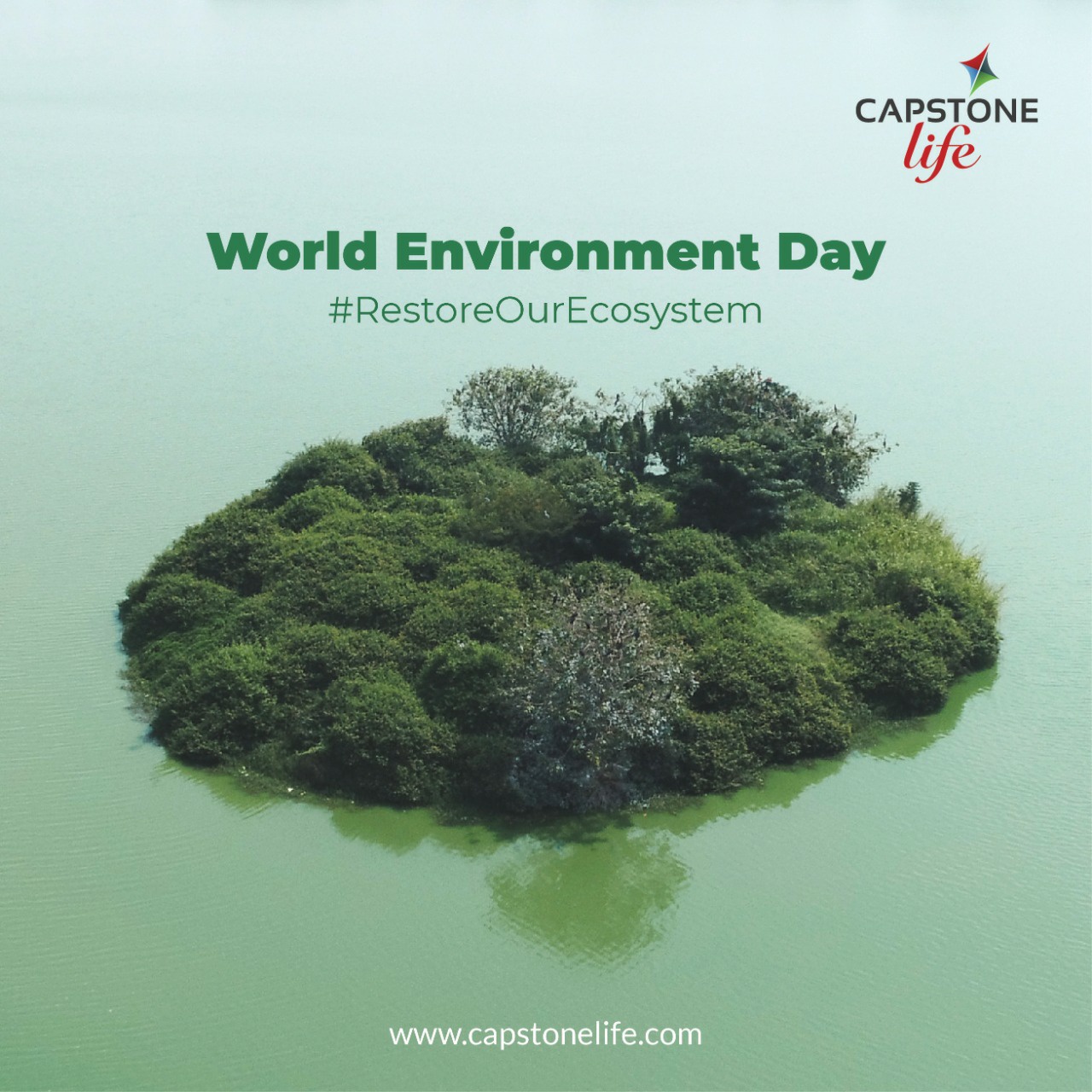 Capstone Life - The best time to plant a tree was 20 years...
