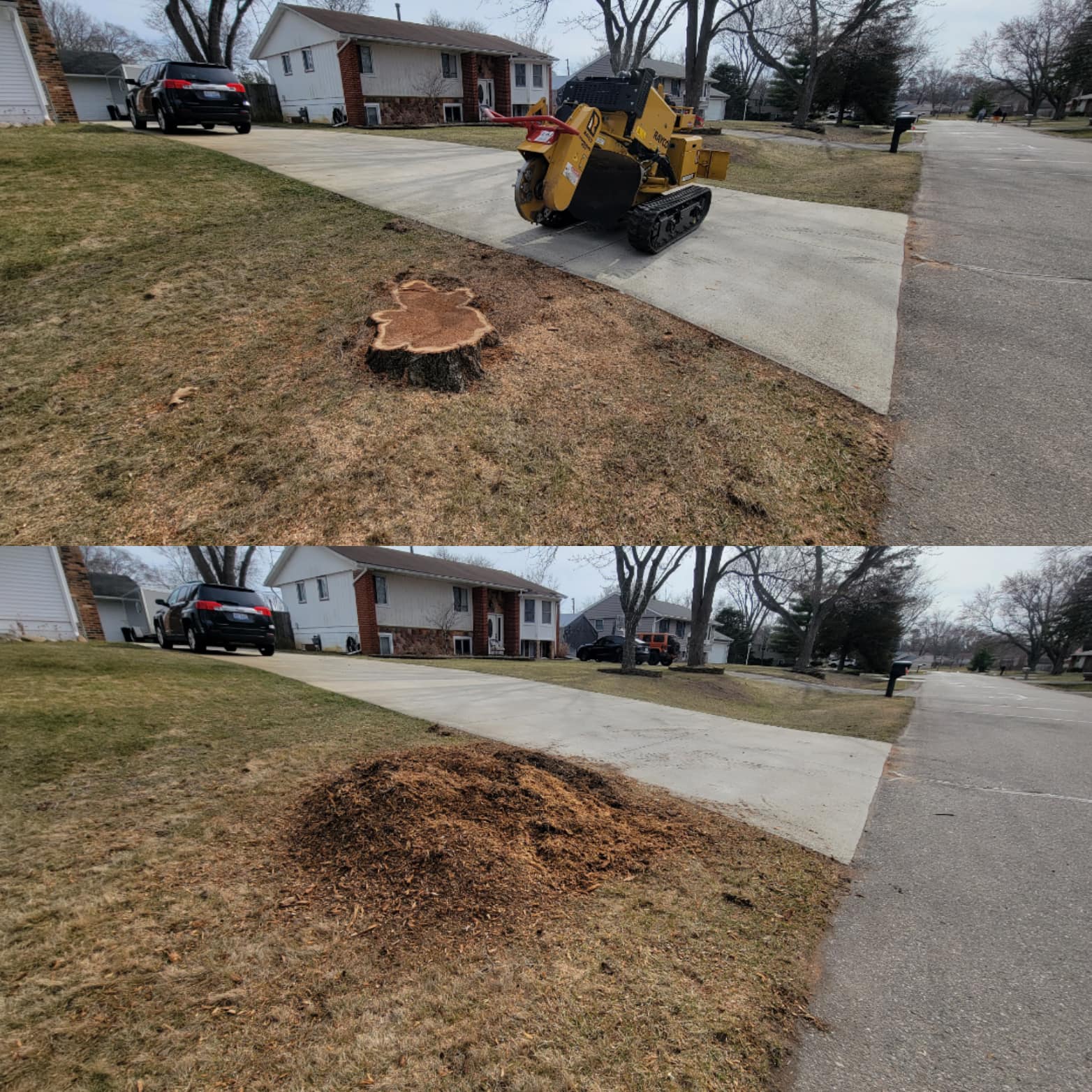 Rise and Grind Stump Removal | Whitmore Lake MI