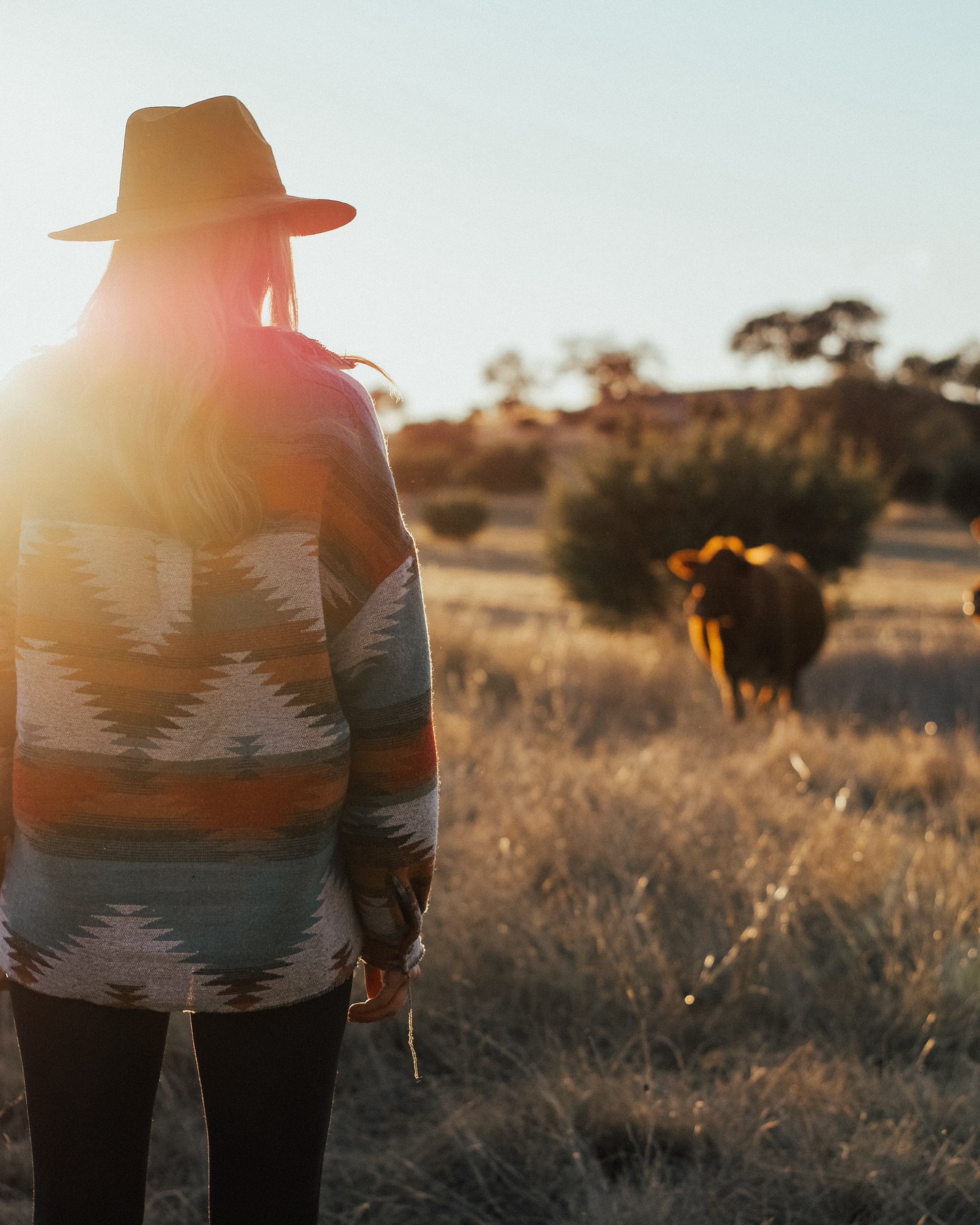Triple V Ranch - “All hat, no cattle” doesn’t apply...