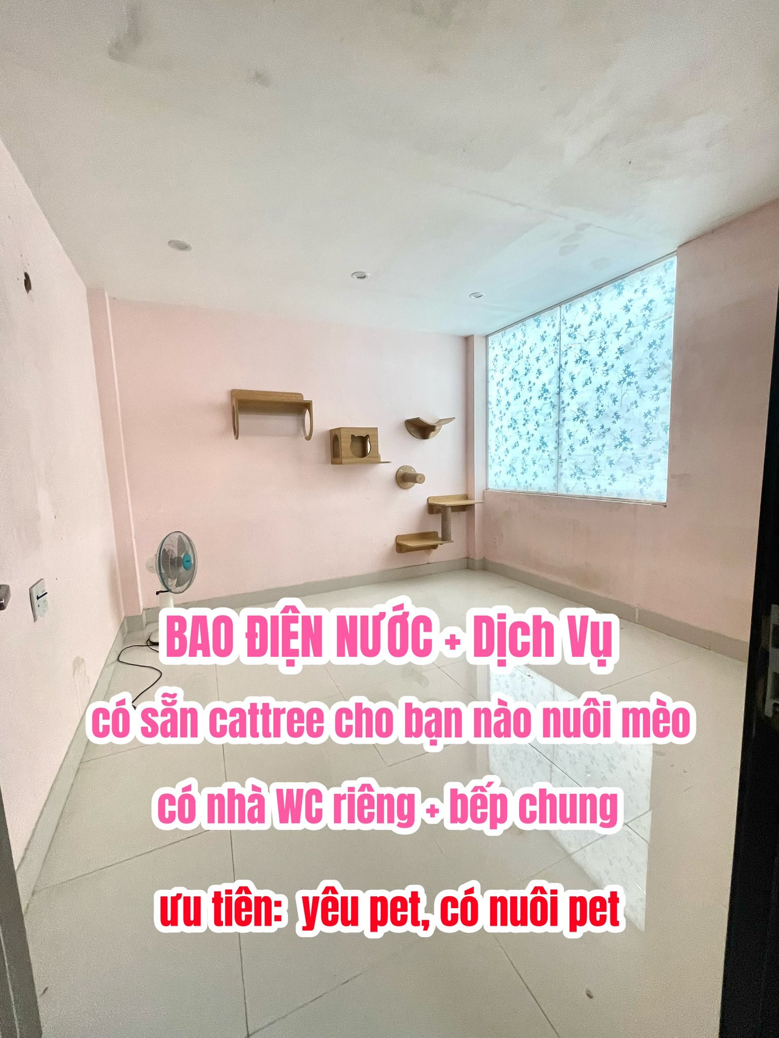 CHO THUÊ PHÒNG DÀNH CHO NGƯỜI NUÔI MÈO 🐱🐶🐾 | Facebook