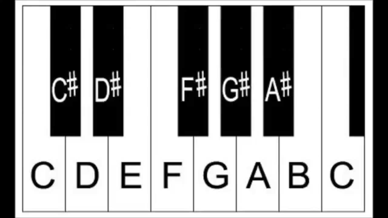 Quarter flat/sharp and three-quarter flat/sharp symbols