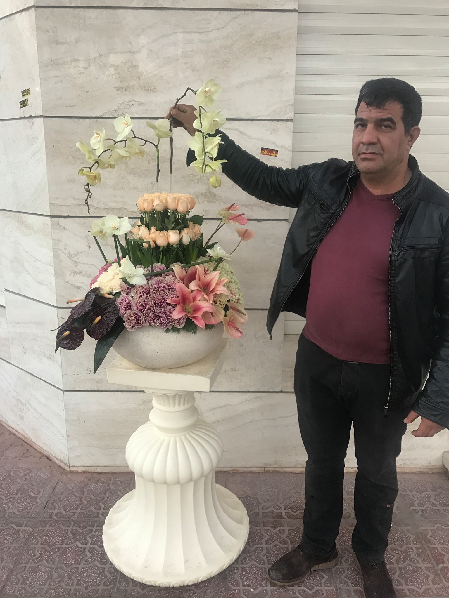گل - درختچه زیبا کو کو س🌳مناسب فضای سبز و آپارتمان 🍀 فروشگاه گل بهار🍃 ...