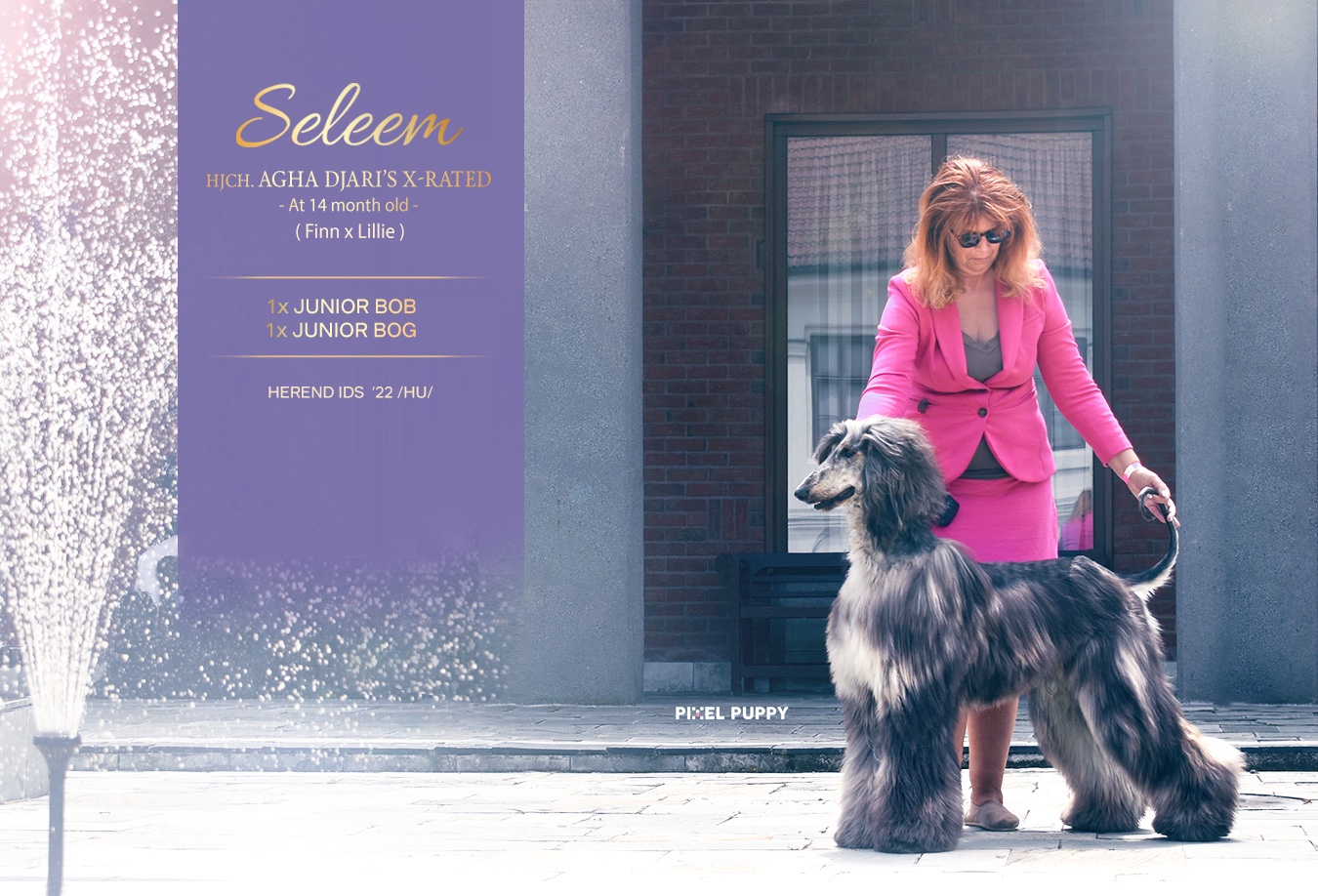 Pixel Puppy - New photo and show ad for 💫Seleem💫 the... | Facebook
