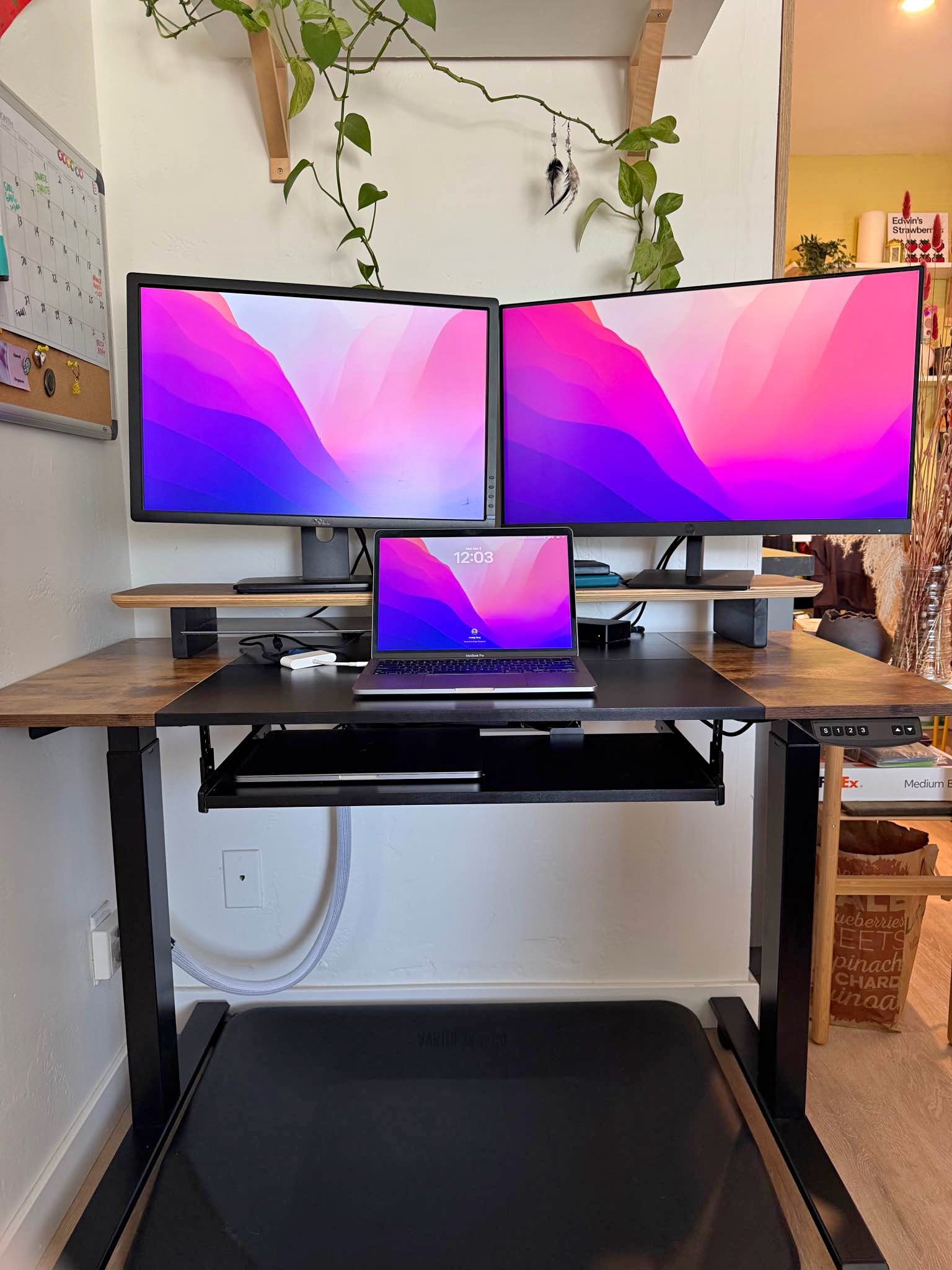 FULL WFH SETUP - adjustable desk, 2 monitors w/ DisplayPort, monitor ...