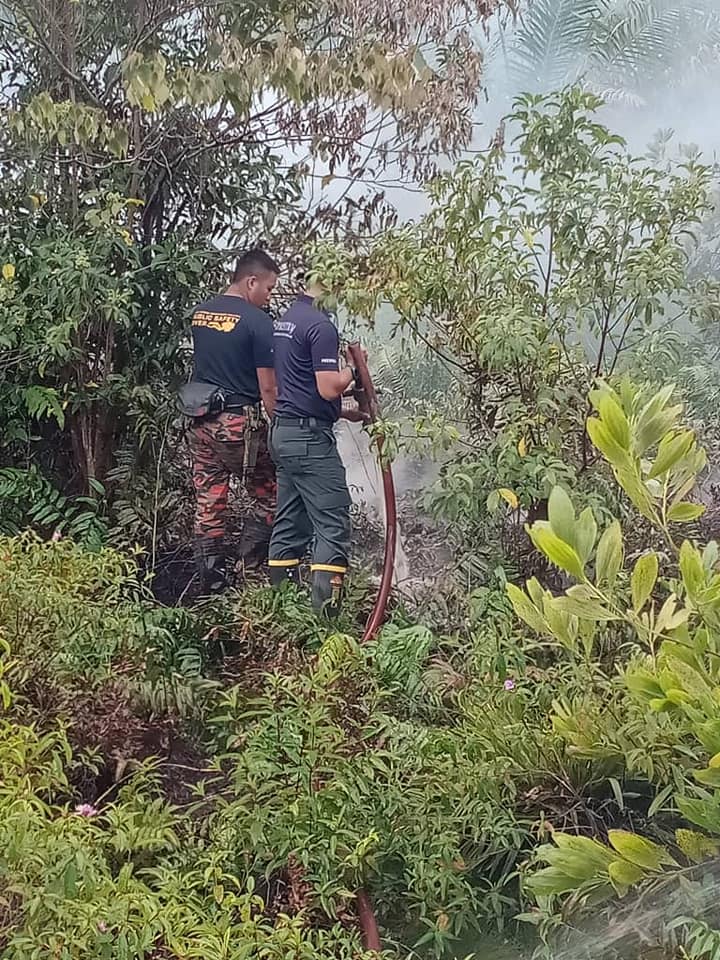 Portal Rasmi Jabatan Perhutanan Negeri Johor Aktiviti Memadamkan Kebakaran Hutan Paya Gambut