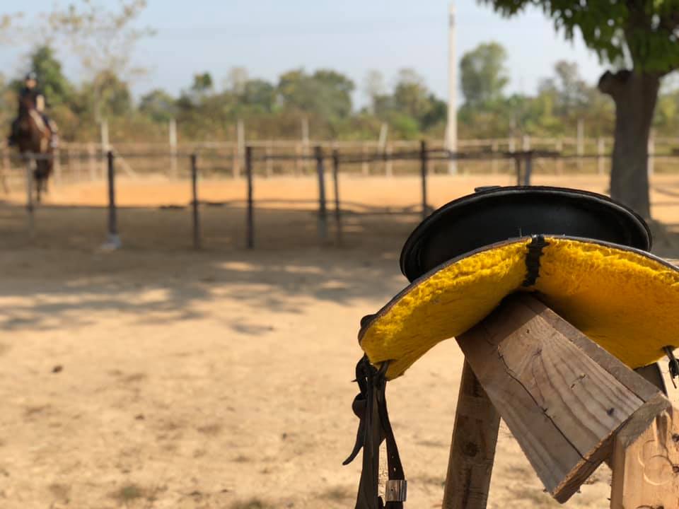 ขอบคุณ ครูนาย... - Second Wind Ranch & Rescue เซคค่อนวินฟาร์ม