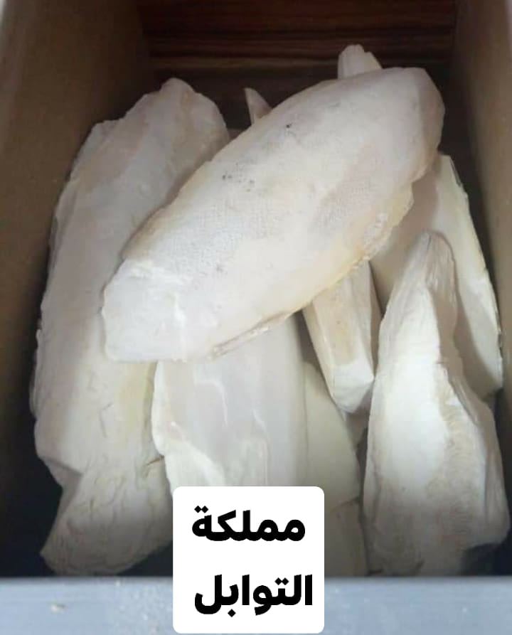 مملكة التوابل فوائد لسان البحر او ما يسمى بالعراق زبد البحر مملكة التوابل لسان البحر هو ليس نبتة أو ع شبة إن ما هو عبارة عن