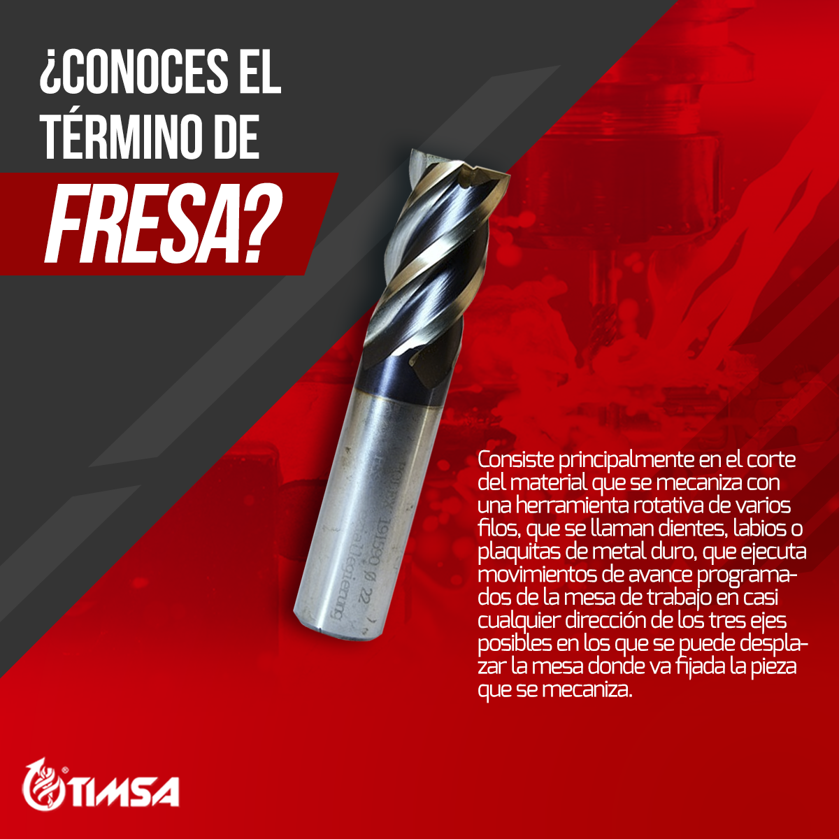 TIMSA - ¡Glosario Timsa! 🤩🦺 Te compartimos el qué es el... | Facebook