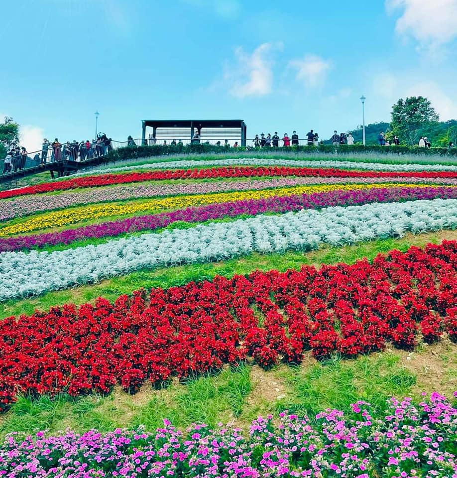 ตะลอนไต้หวัน - - Amazing Taiwan