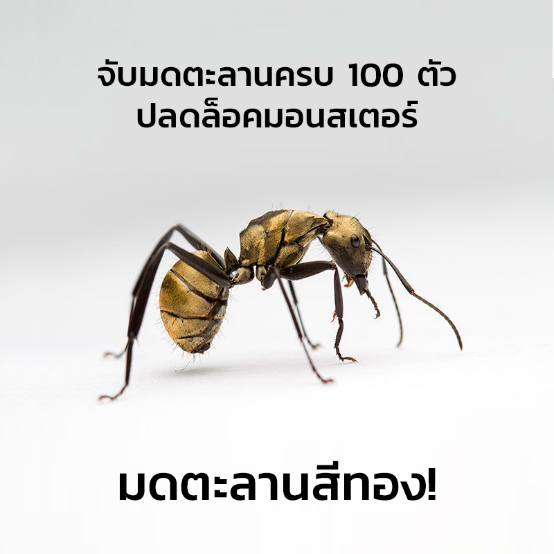 Insecta Lab - [INFO] เมื่อคุณจับมดตะลานครบ 100 ตัว ปลดล็อค... | Facebook
