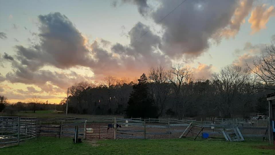 Double R W Ranch | Birch Tree MO