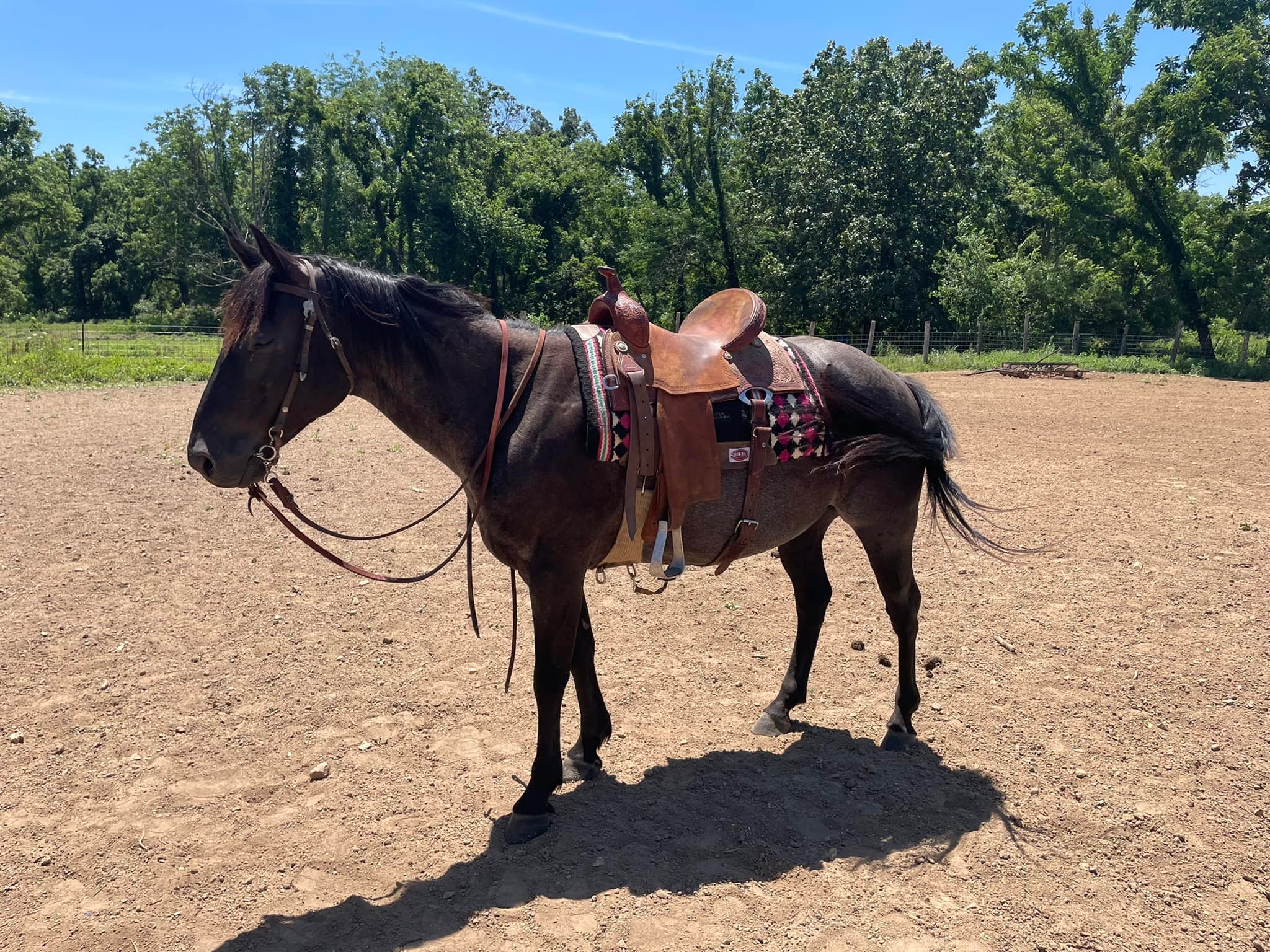 Double R W Ranch | Birch Tree MO