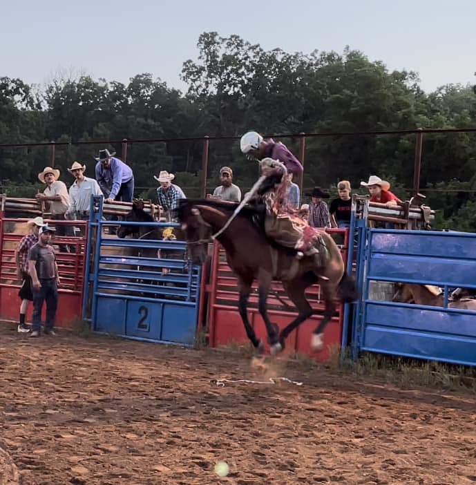 Double R W Ranch | Birch Tree MO