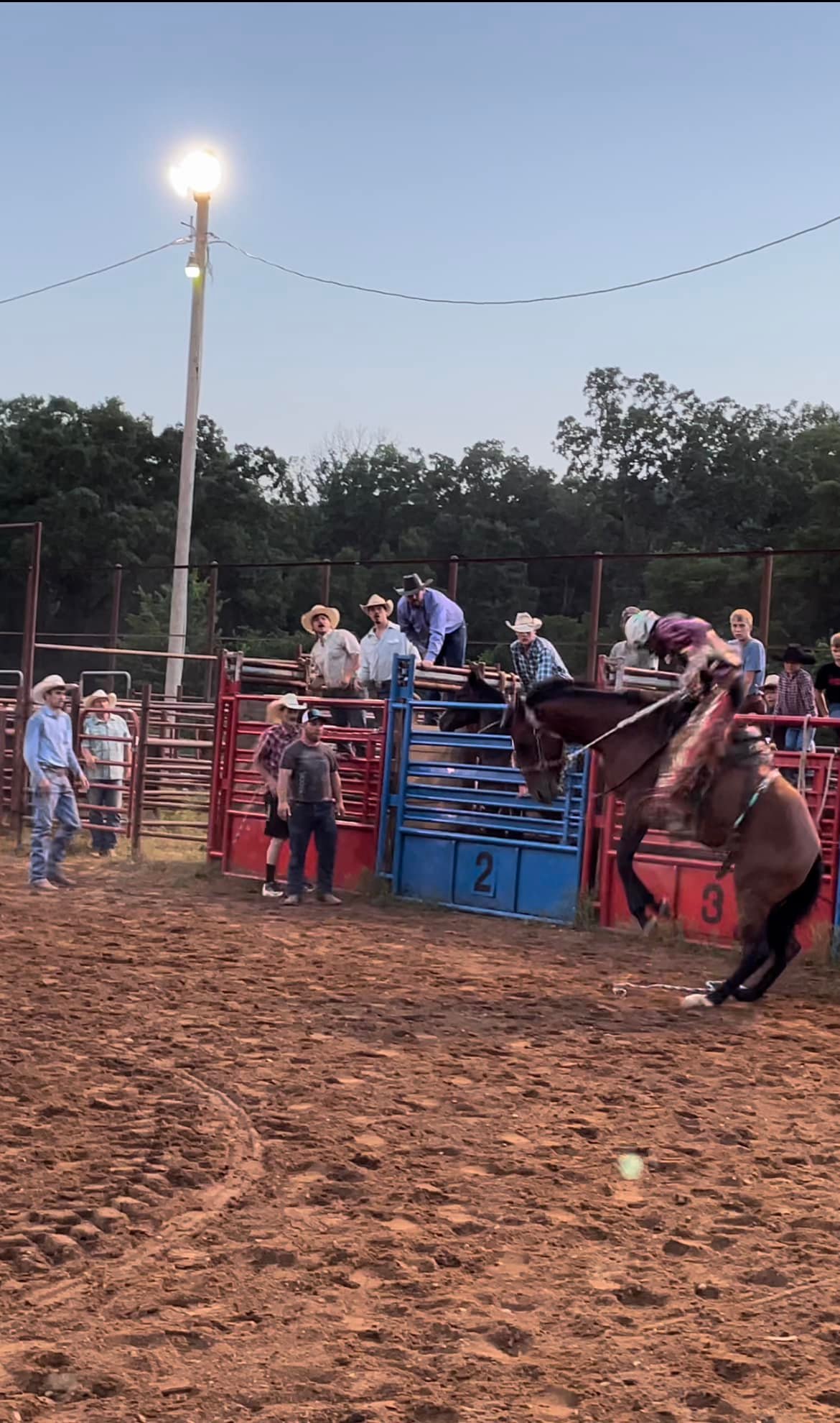 Double R W Ranch | Birch Tree MO