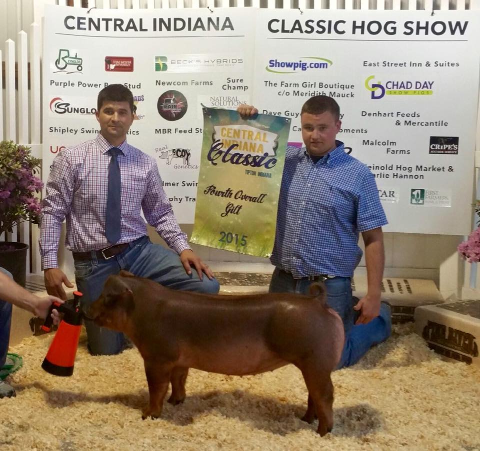 Riggs-Thurston Showpigs | Alexandria IN