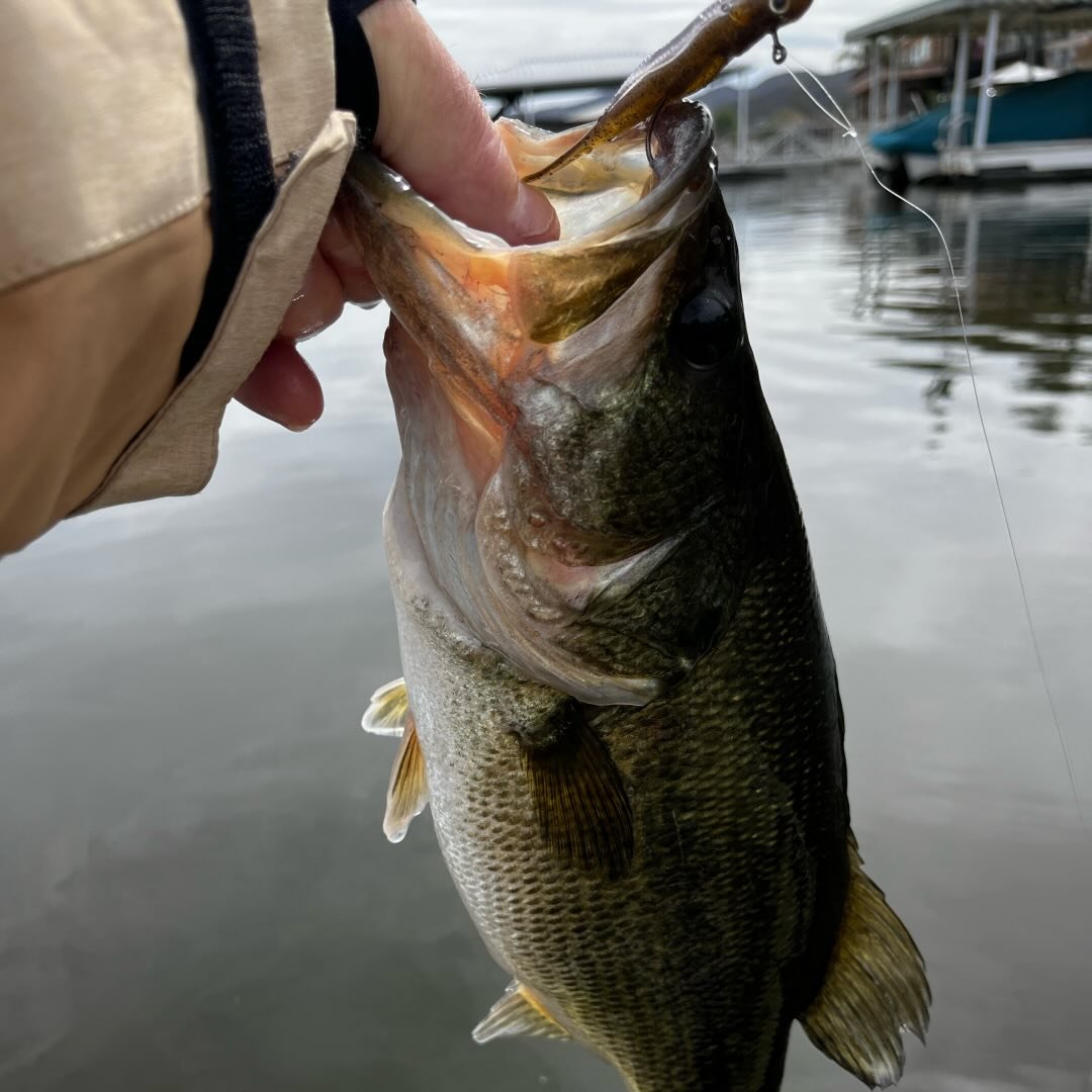 Panfish On The Fly | Pan fish on the fly I think this is one of the ...