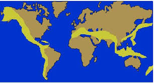 اه History And Geography Of Worldمێژوو و جوگرافیاي جيهان Facebook