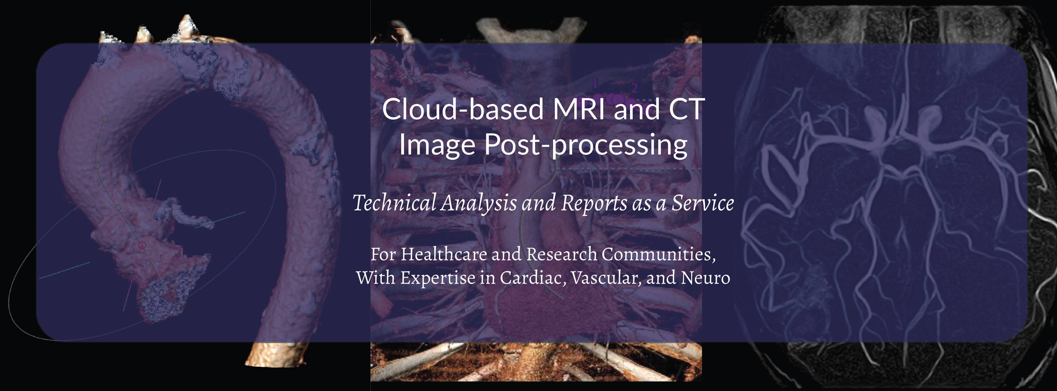 Precision Image Analysis | Kirkland WA