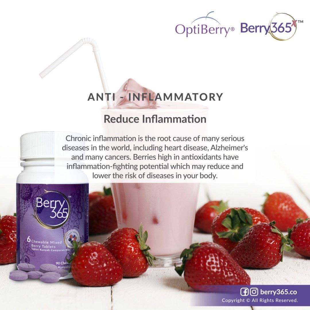 Berry365x/OptiBerry - JP Sunrise Network
