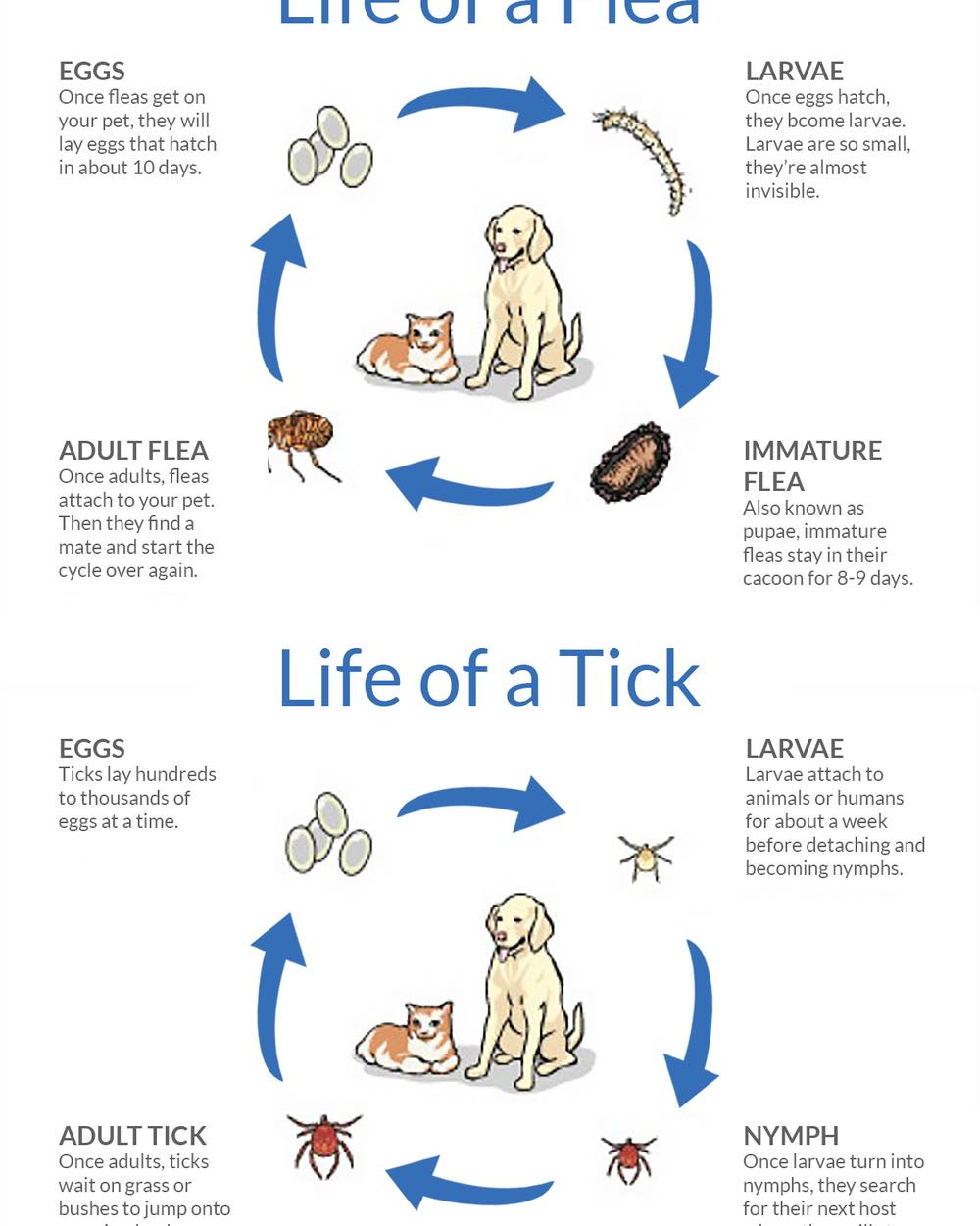 Reed's Rescue - Let’s talk about Fleas & Ticks! Prevention...