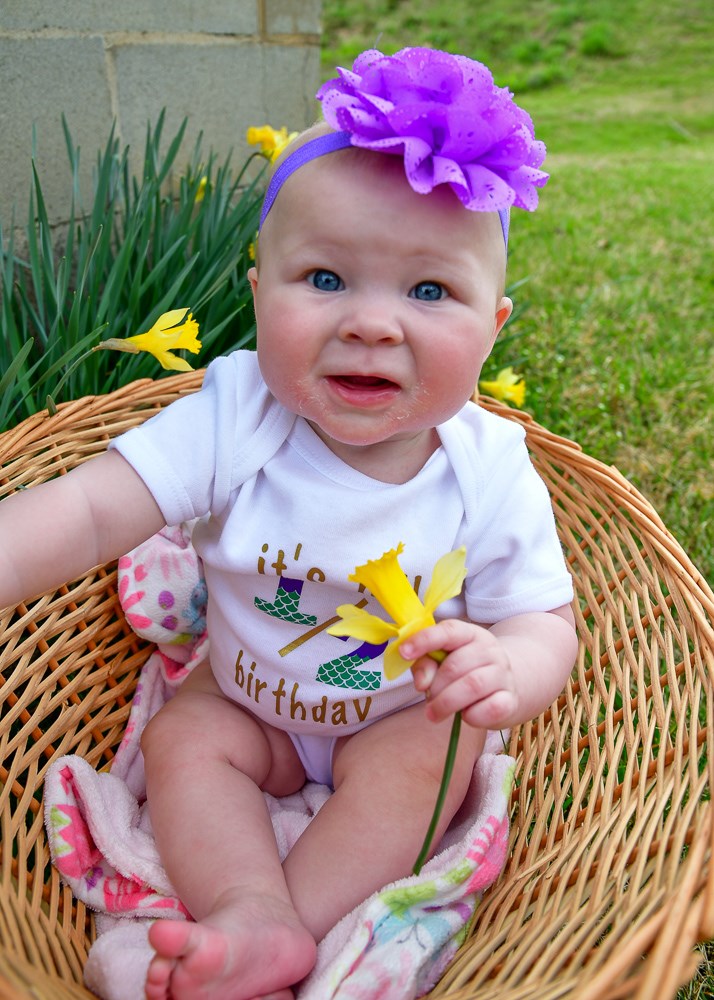 Stacie Lane Photography Home Facebook