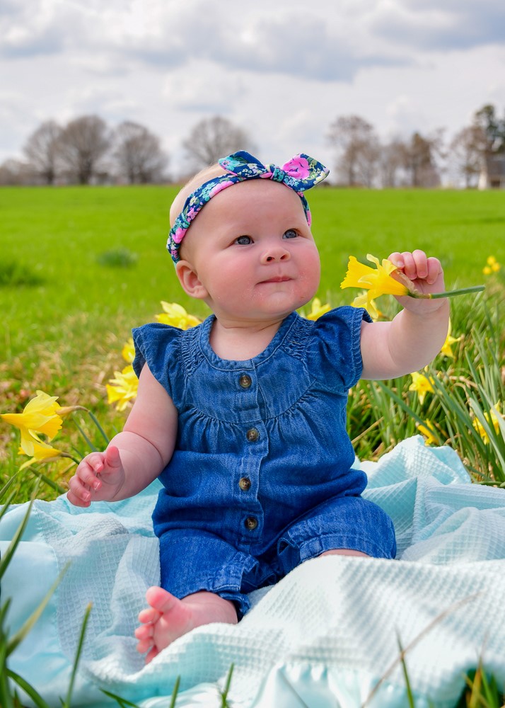 Stacie Lane Photography Home Facebook