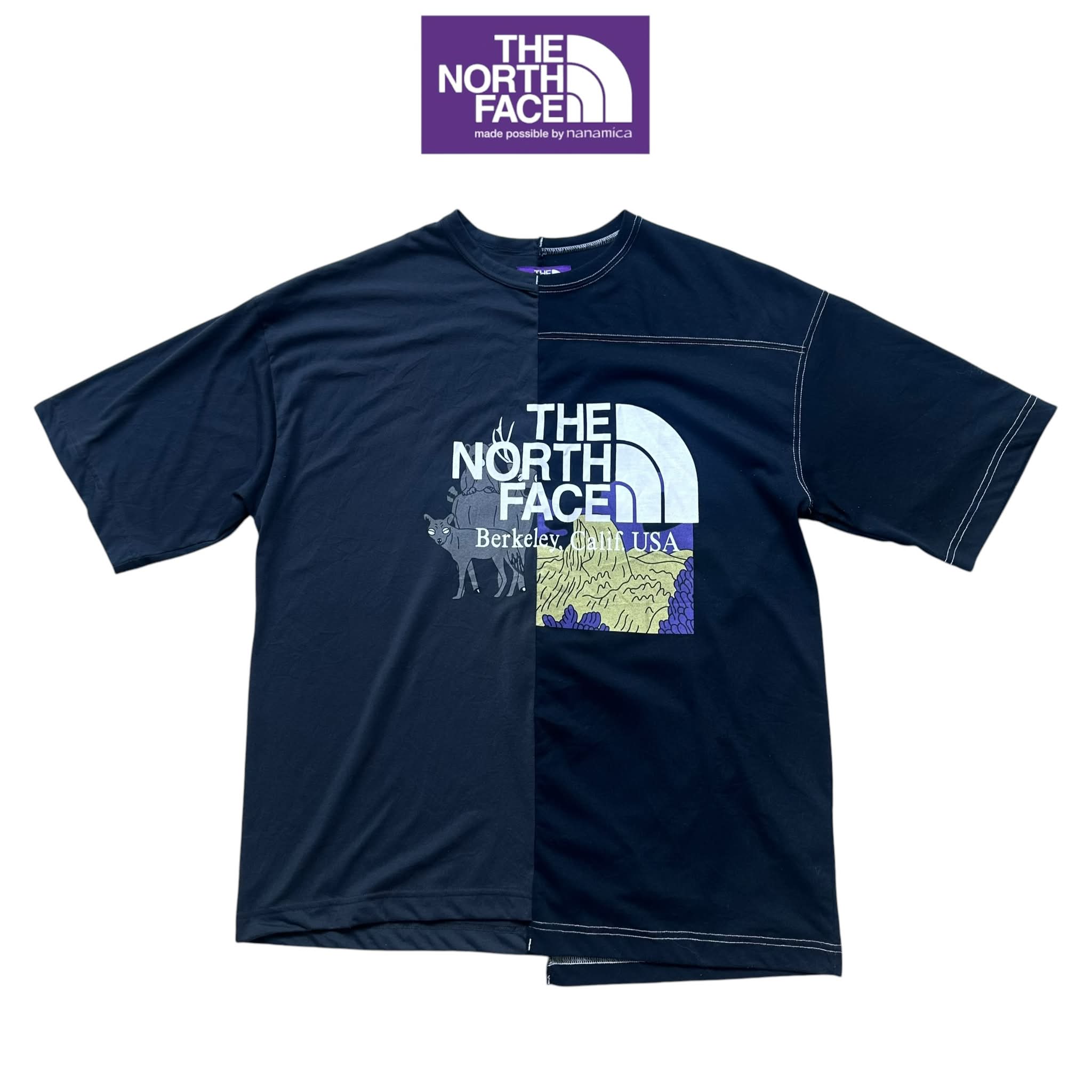 Palace + The North Face Purple Label