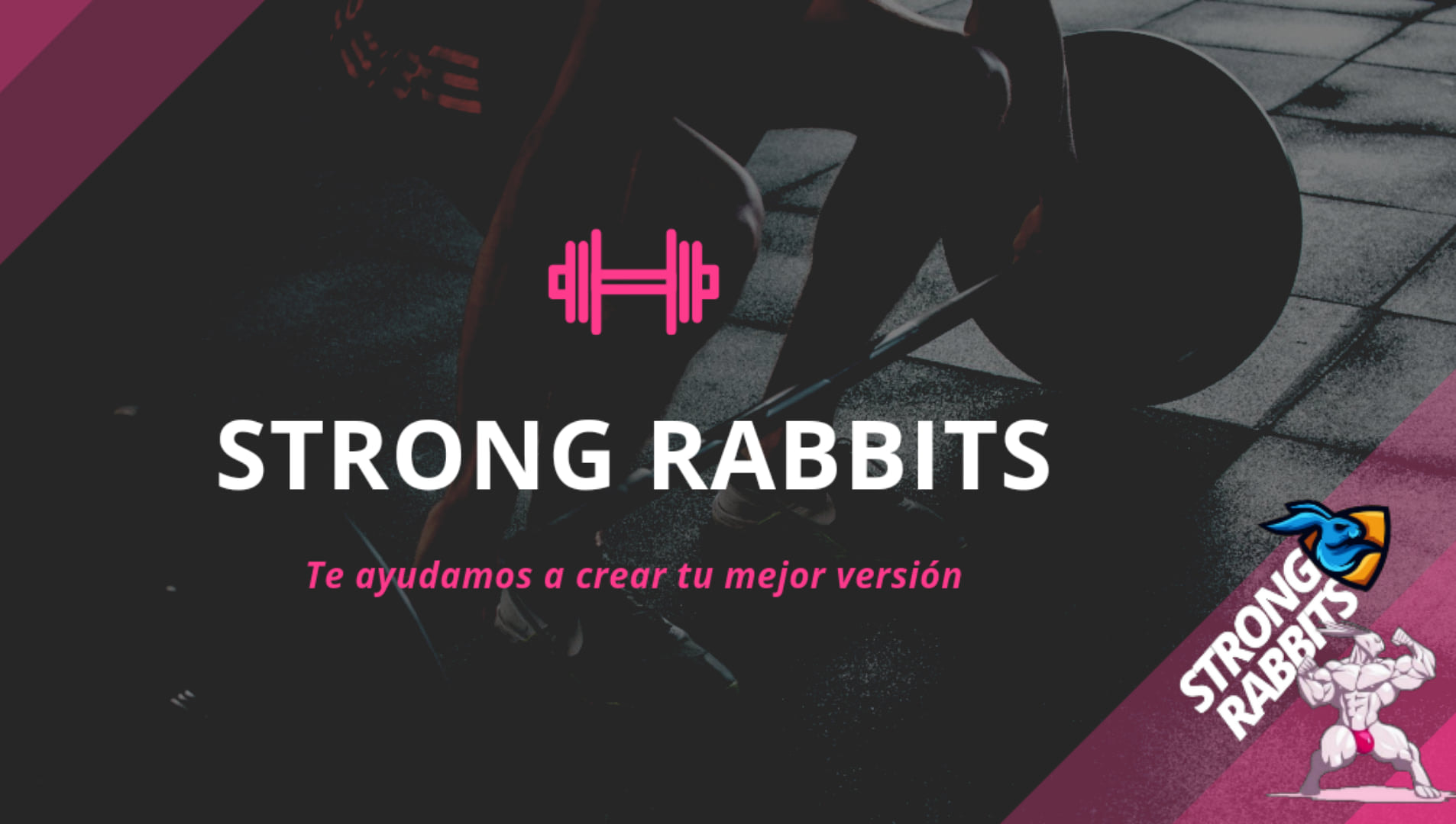Strong Rabbits | Tlacotepec