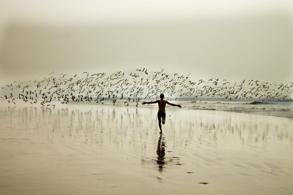 Rotman Photography Association