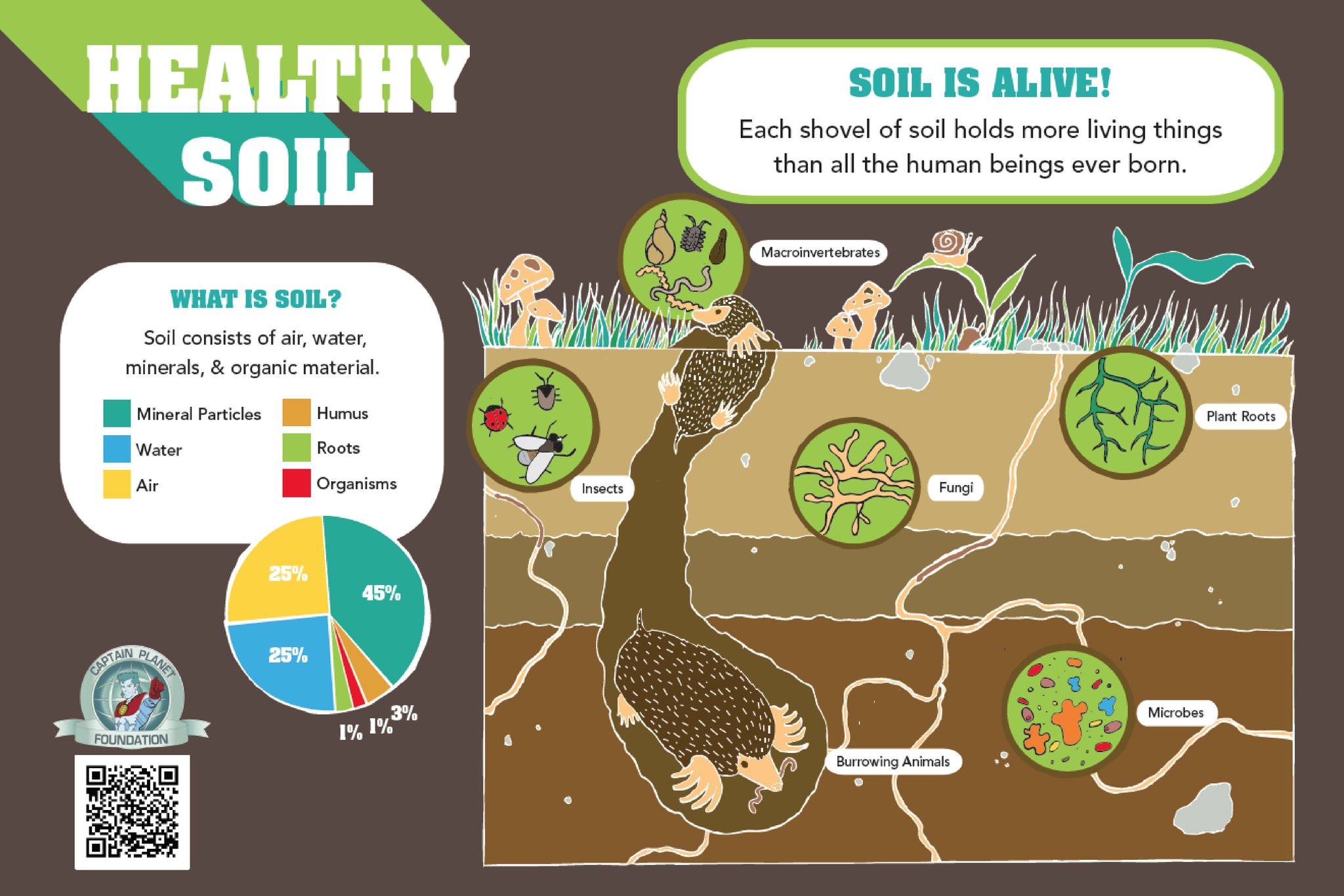 What is soil? - Blue Ridge PRISM | Facebook