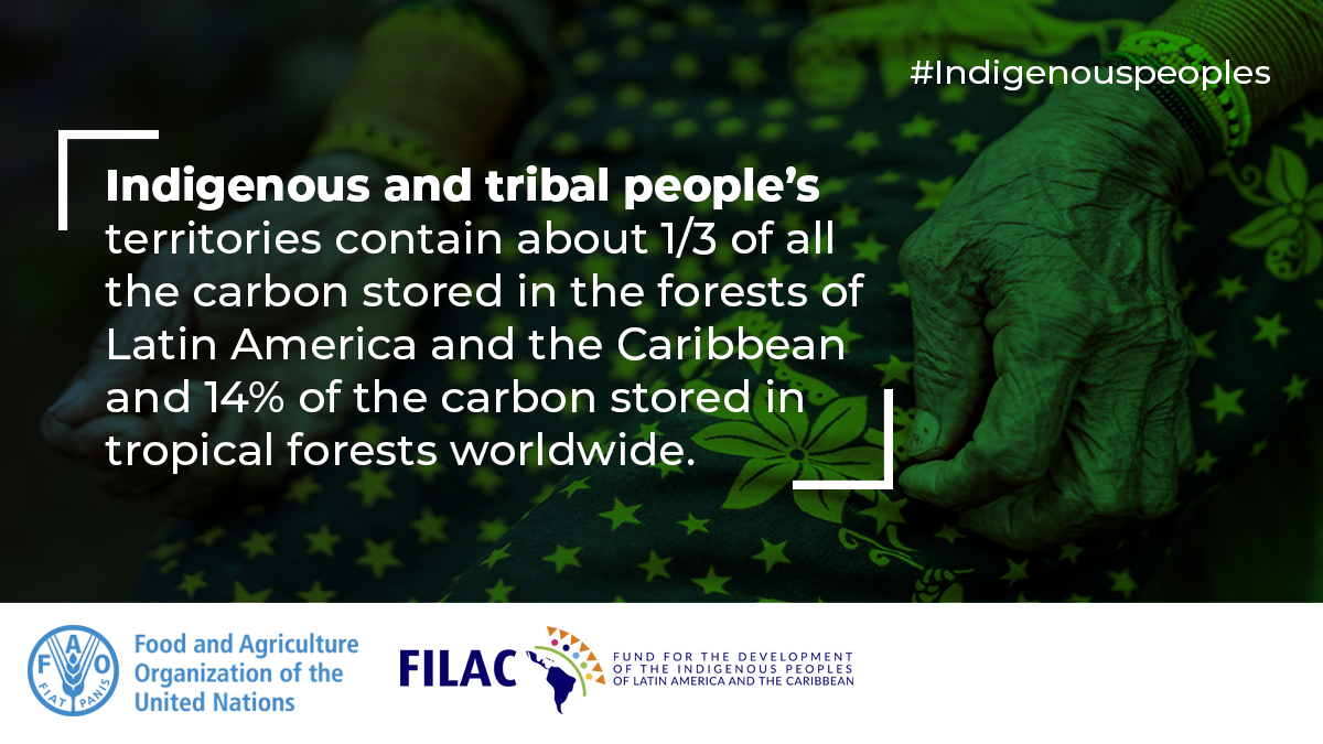 Land Portal - New UN report shows evidence that Indigenous... | Facebook