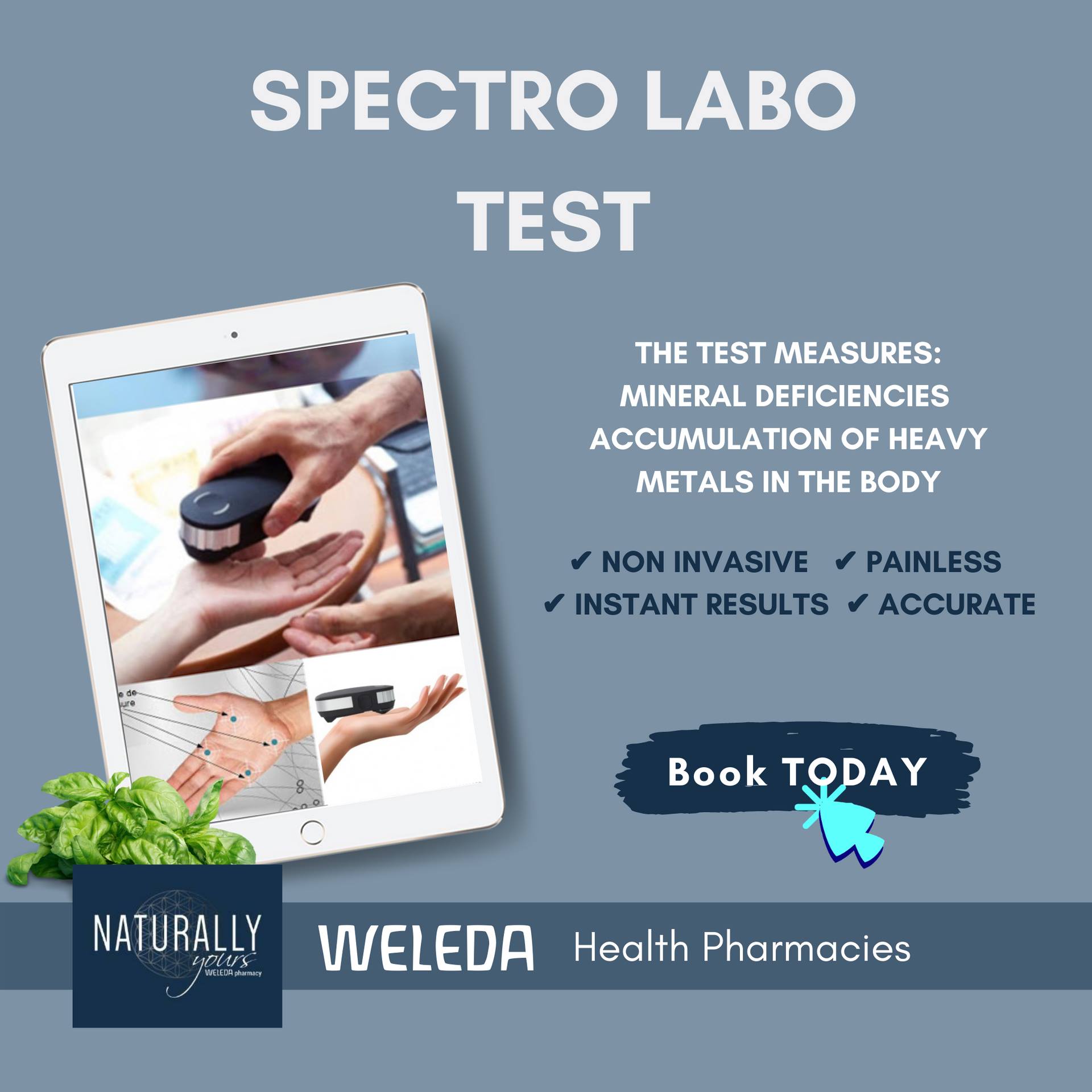 Weleda - Spectro Labo Test The test measures: - Mineral deficiencies ...