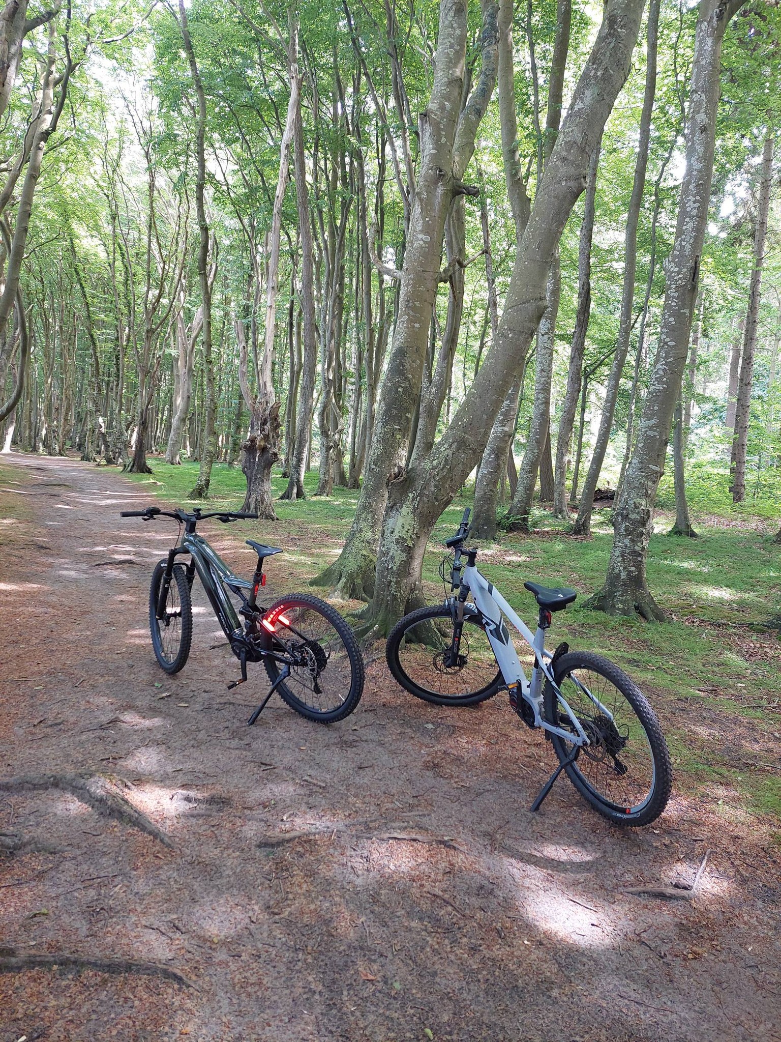 rollentrainer mountainbike tacx I-genius Multiplayer, schwarz, T2000 Sport & Freizeit Skyliner MK3 Ziener Herren GALF-Z Ski-Handschuhe/Wintersport Blattnummer:145. Drahanská vrchovina