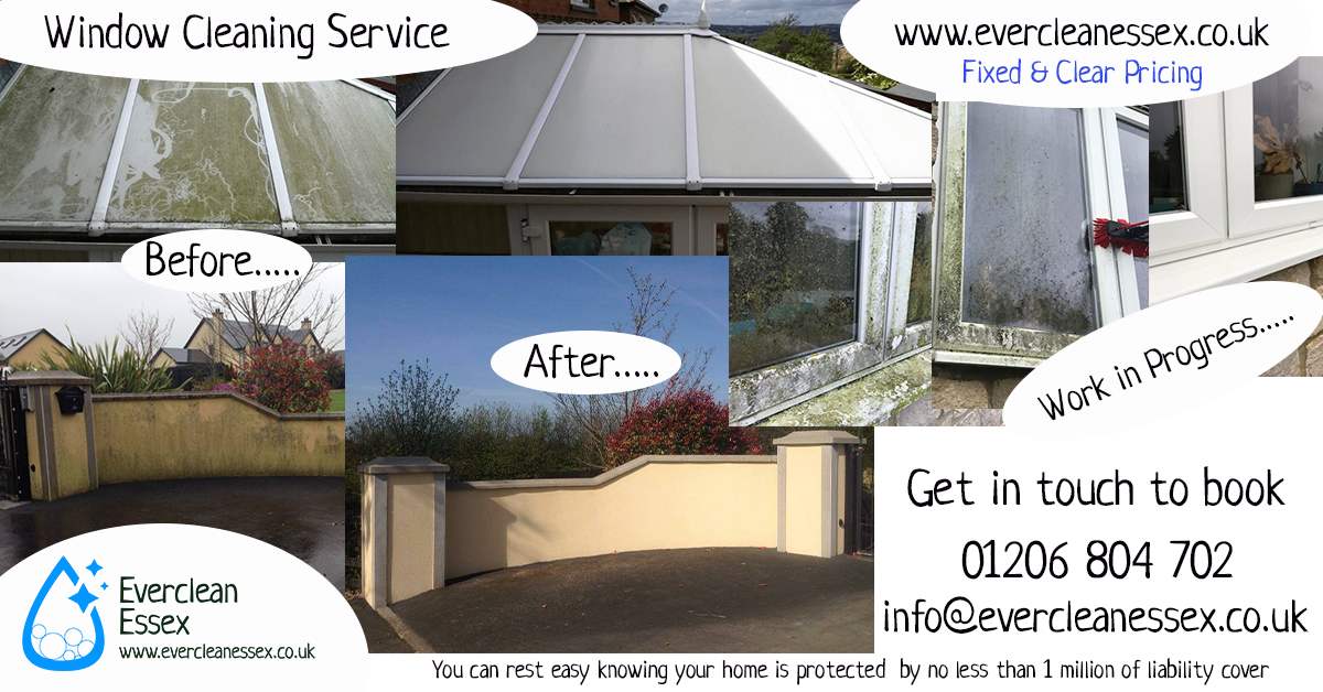 Everclean Essex Ltd