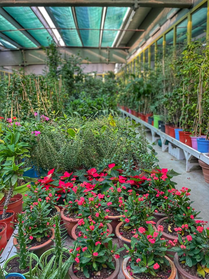 Riyadhconnect Welcome To The Sultan Garden Centre Where Facebook