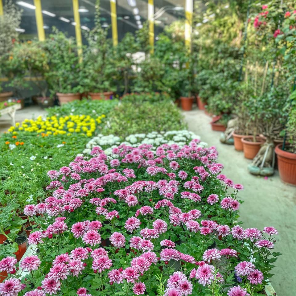 Riyadhconnect Welcome To The Sultan Garden Centre Where Facebook