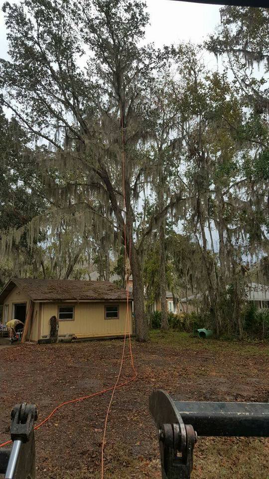 BT Tree Service LLC