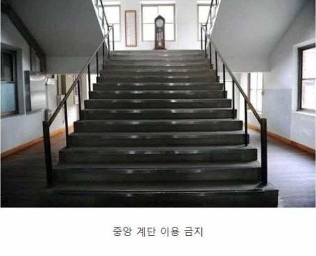 핫짤 - 대학원생들 화이띵....😭😭😭 . . . . . . . . . #유머 #유머스타그램 #ㅋㅋㅋ #ㅋㅋ #재미 #웃긴사진 ...