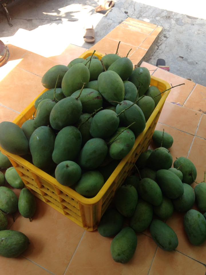 RAJA MANGO