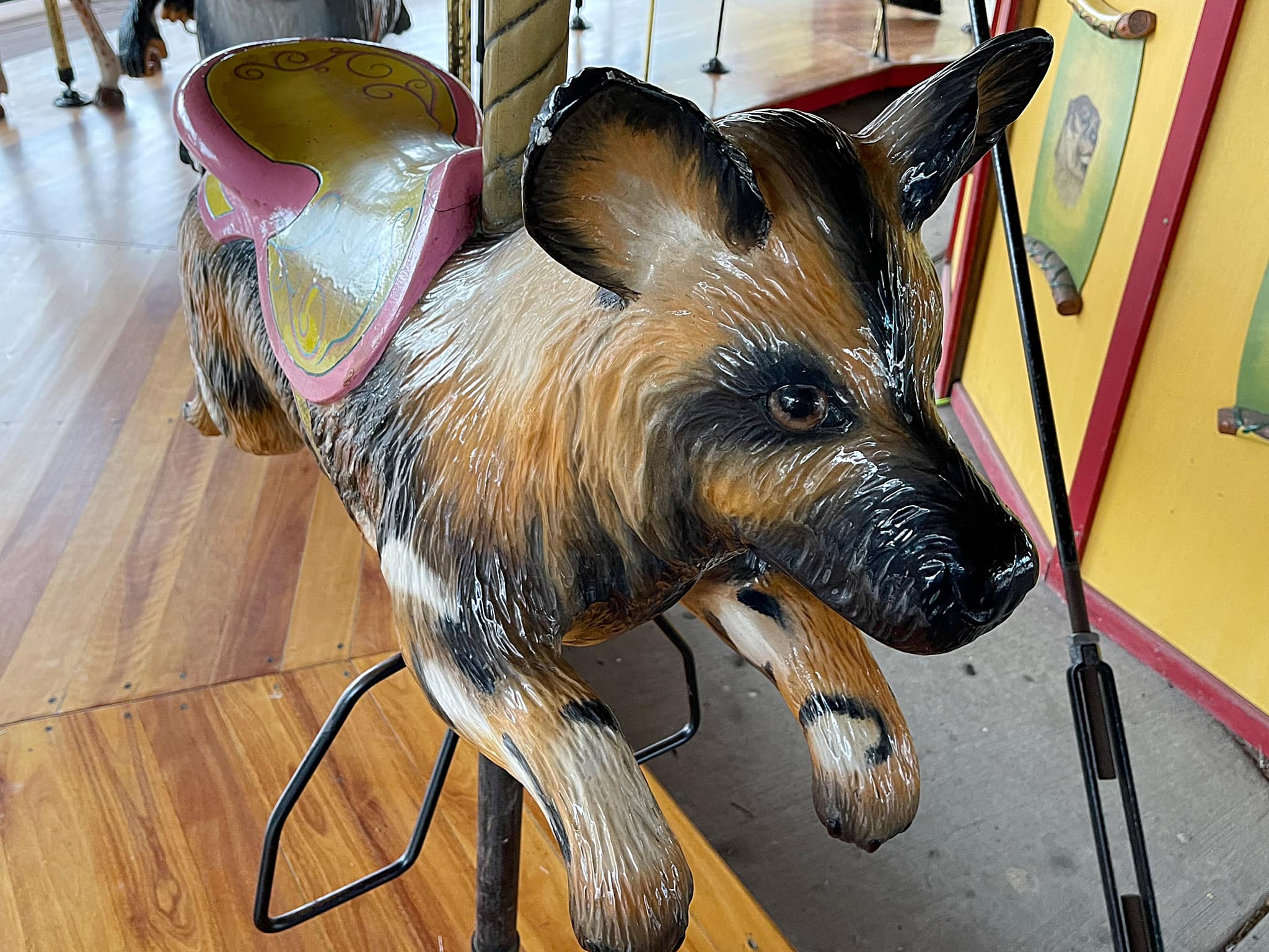 Carousel Relics - The African wild dog also known as the...