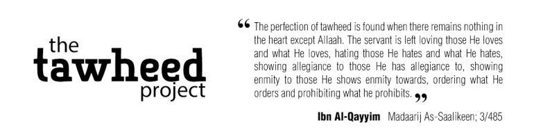 The Tawheed Project
