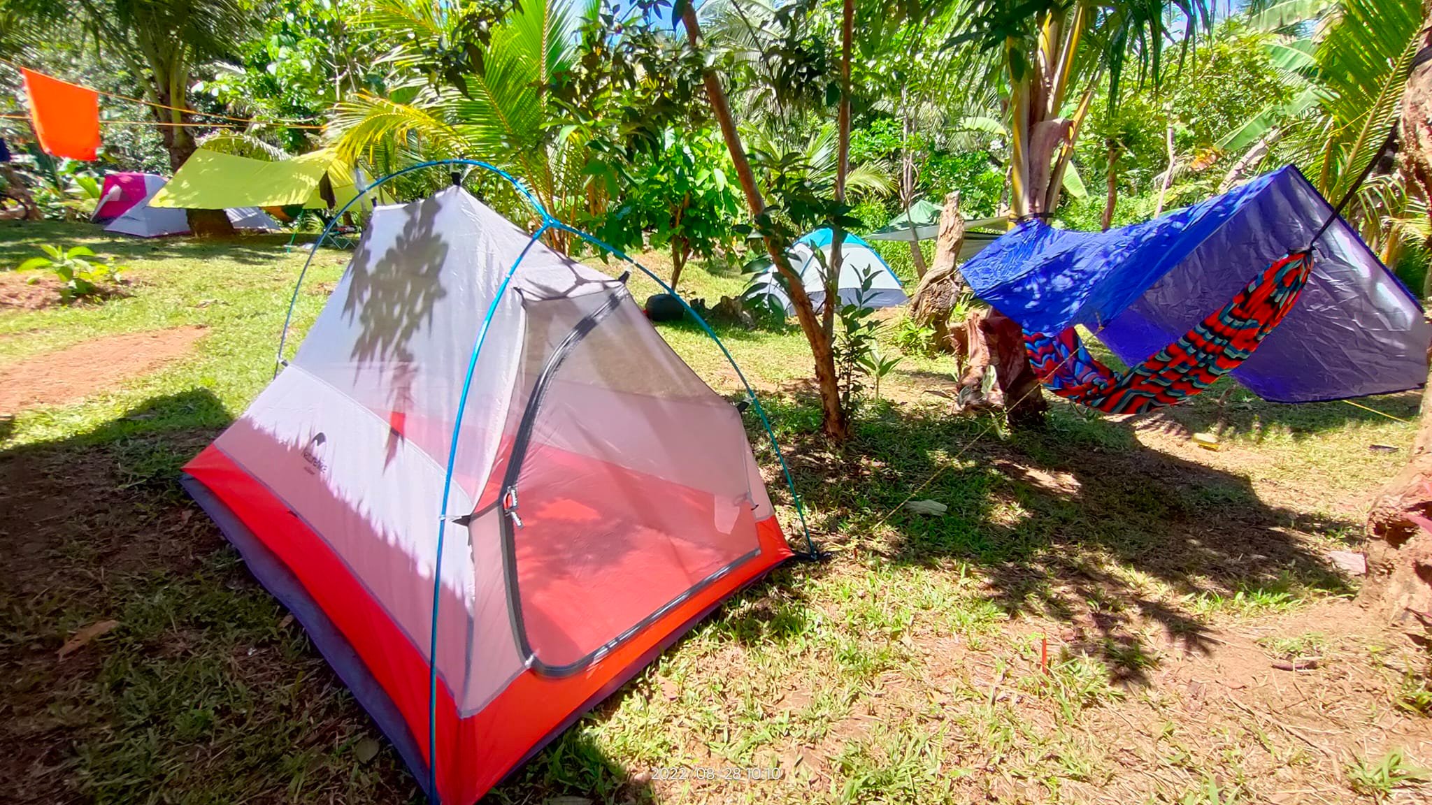 one man tent ultralight Bivy – 1 Person Waterproof Backpacking Tent Tooth Size:45 Designed to withstand strong Prophete Ebike Blaupunkt LCd Second Hand
