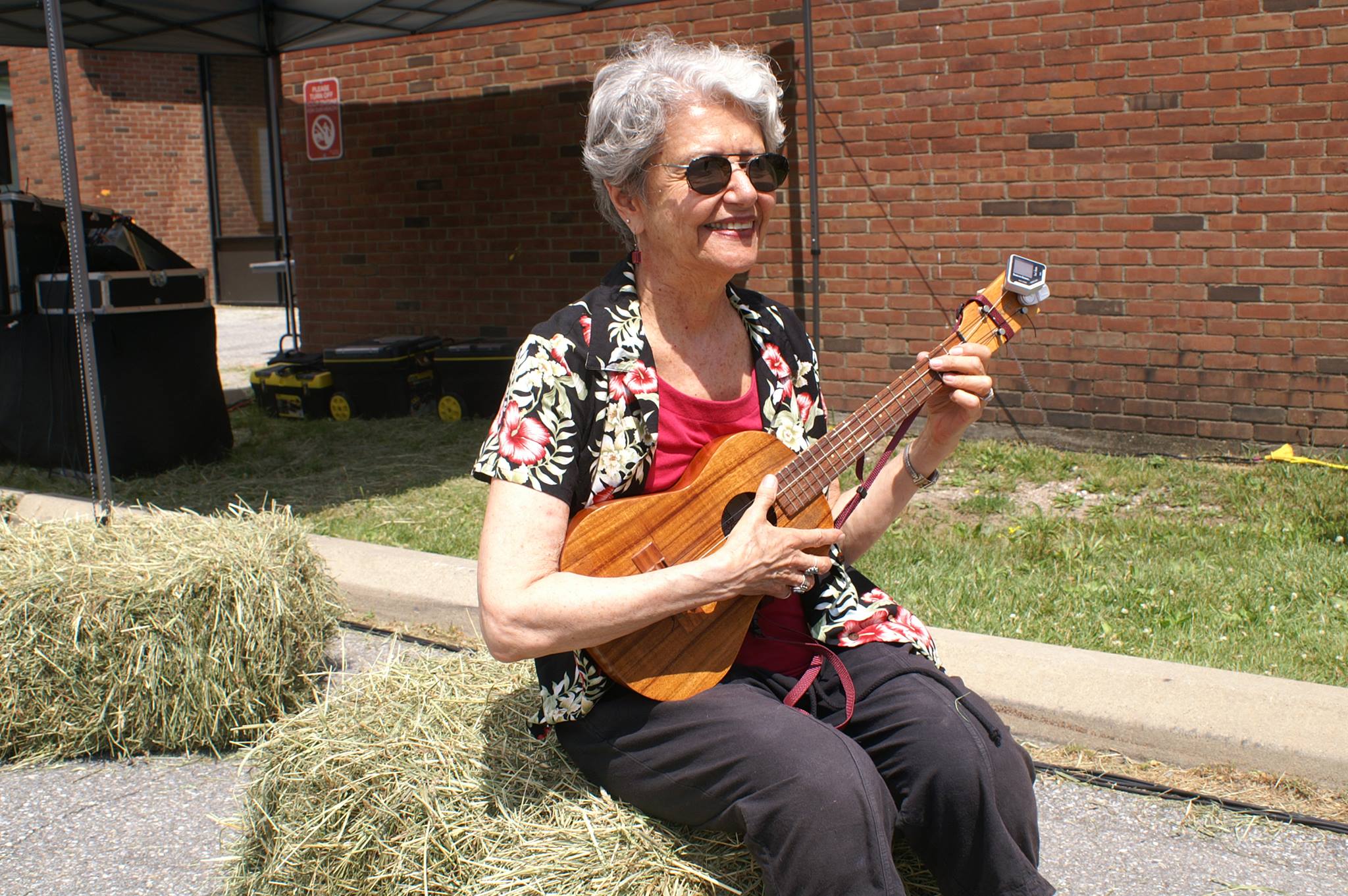 Deanna Klein Shapiro - Artist & Poet