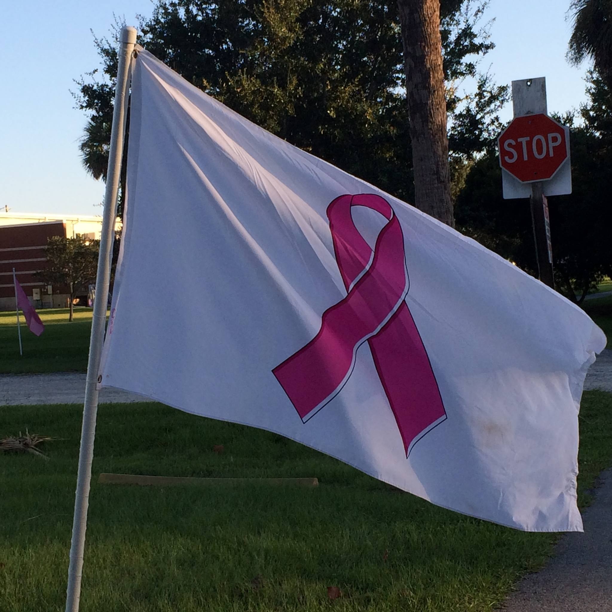 The Pink Ribbon Link, Inc.