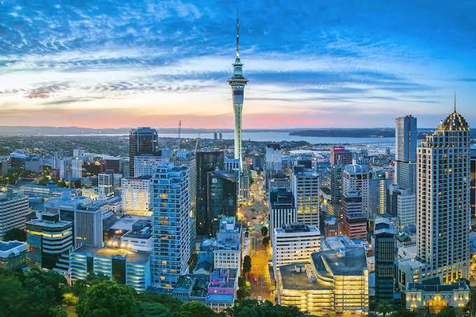 Api New Zealand Machan