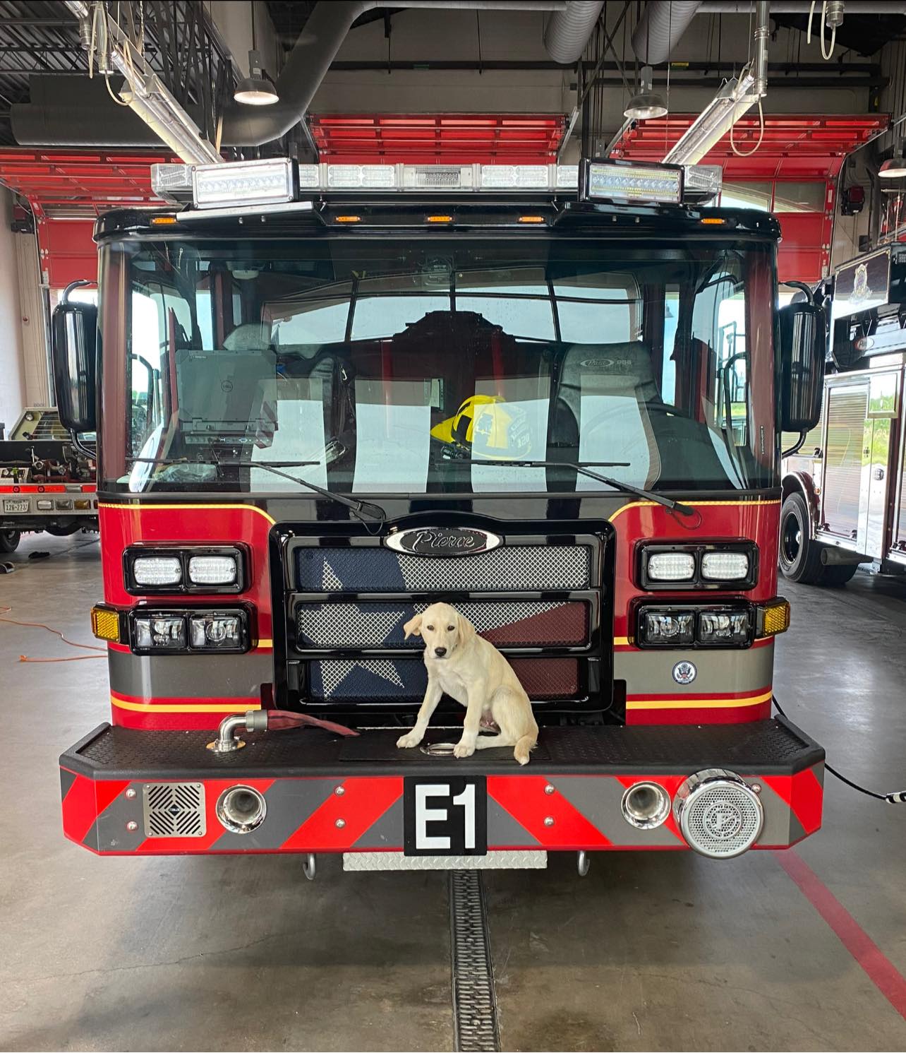 Meet Riggs! The newest member... - Midlothian Fire Department