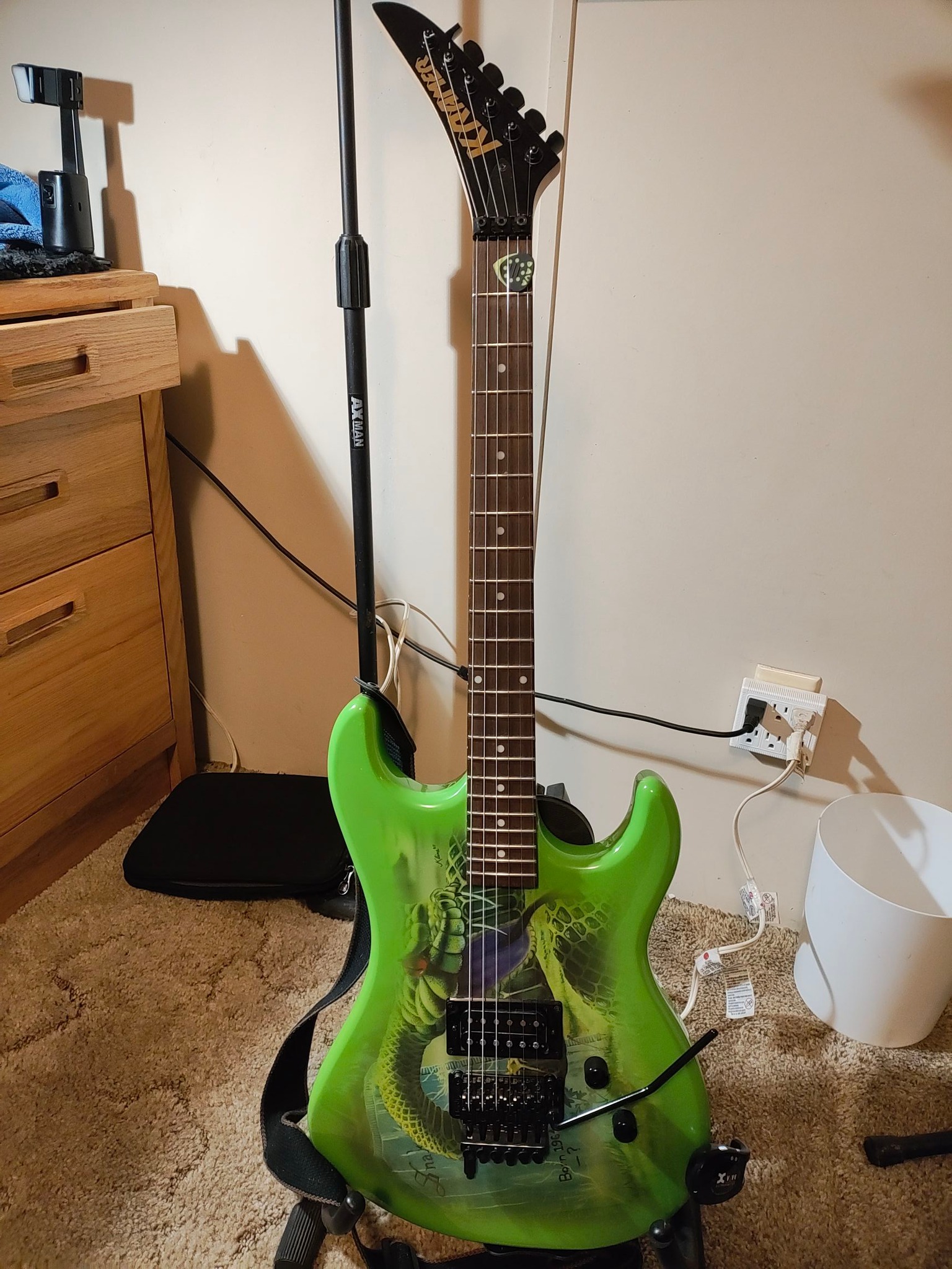 What guitar does snake sabo use?