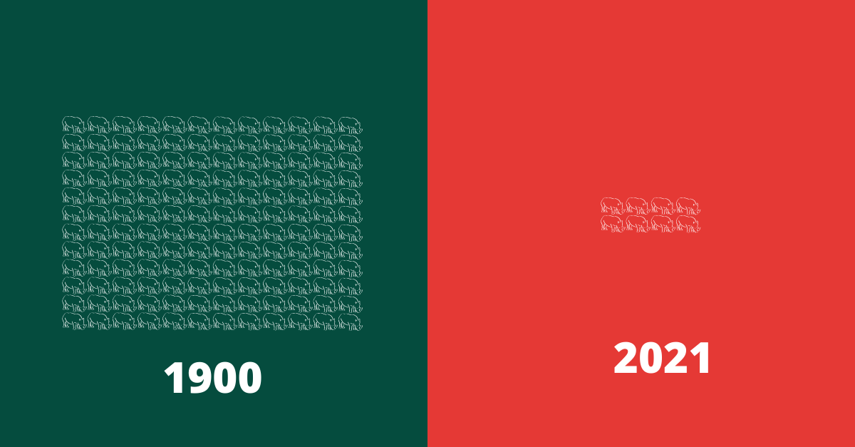 Sensing - On #WorldRhinoDay, we bring you the daunting facts about ...
