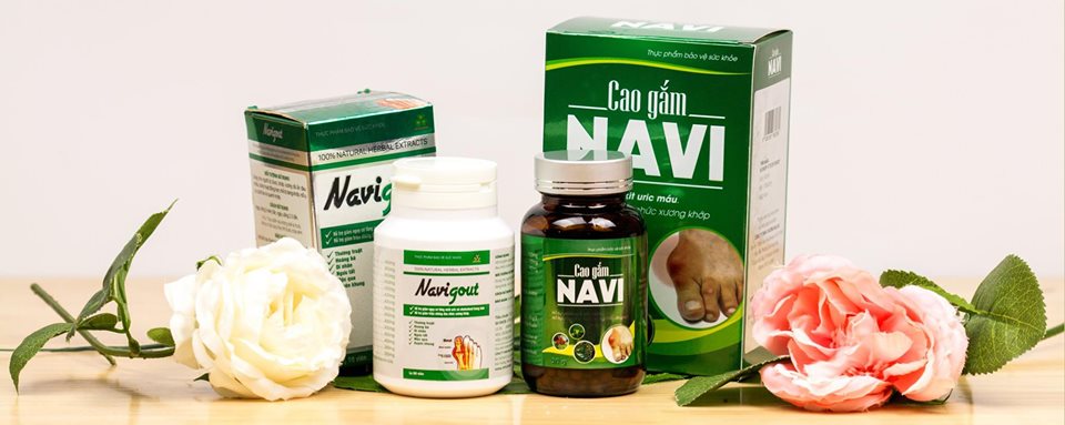 Navigout - Khắc Tinh Của Bệnh Gout | Hanoi