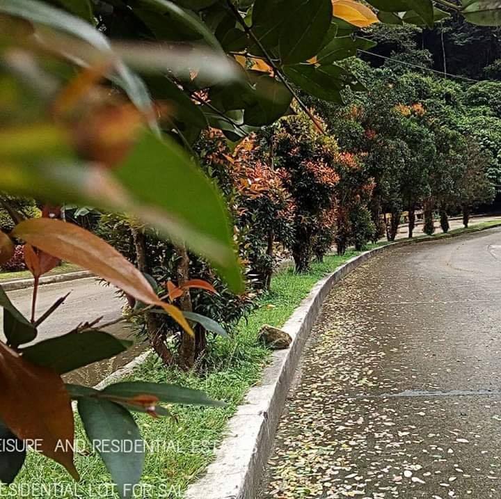 Angono RIZAL LOT for SALE... - Angono RIZAL LOT for SALE